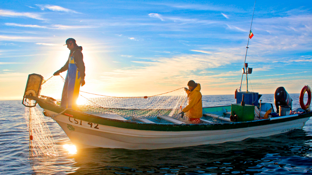 bote de pesca con pescadores recogiendo una red
