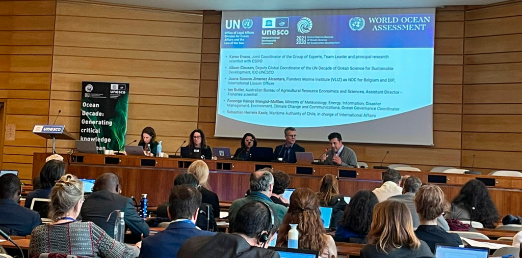 panel de expertos unesco
