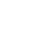 logo Ds