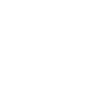 salmonchile